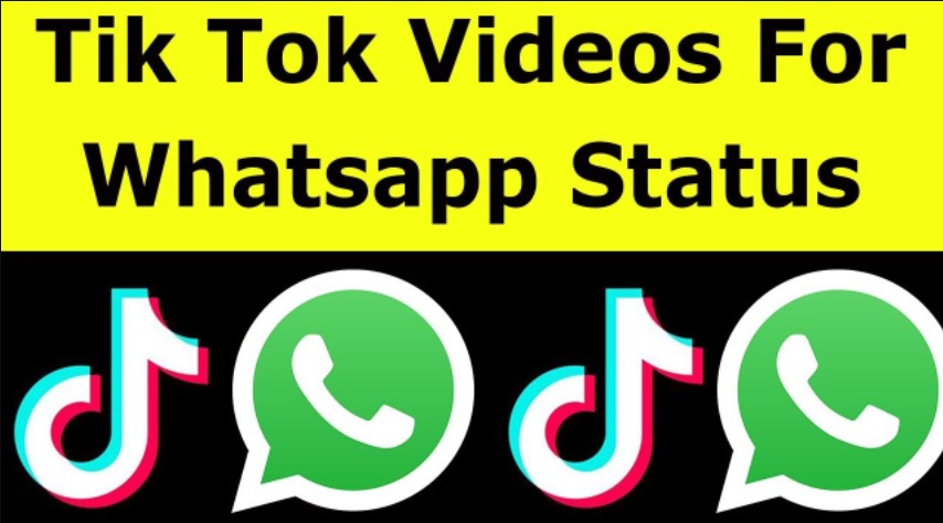 Cara Download Video Tiktok Whatsapp 