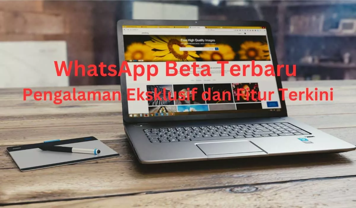 WhatsApp Beta Terbaru