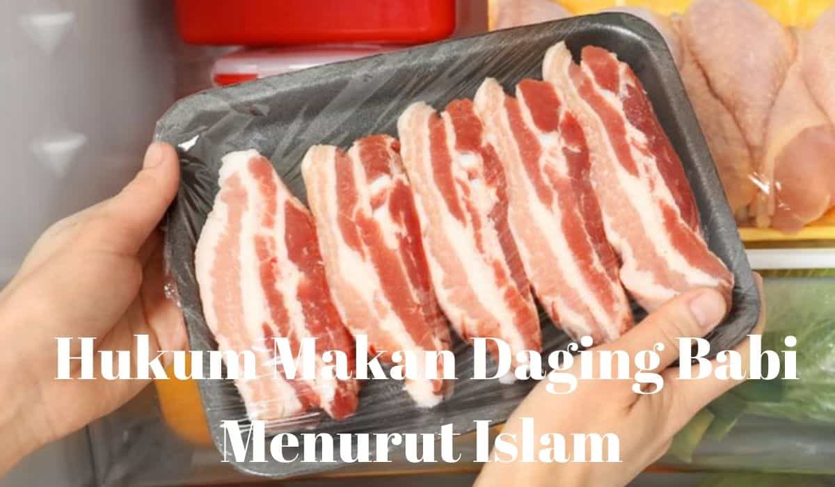 Daging Babi Menurut Islam
