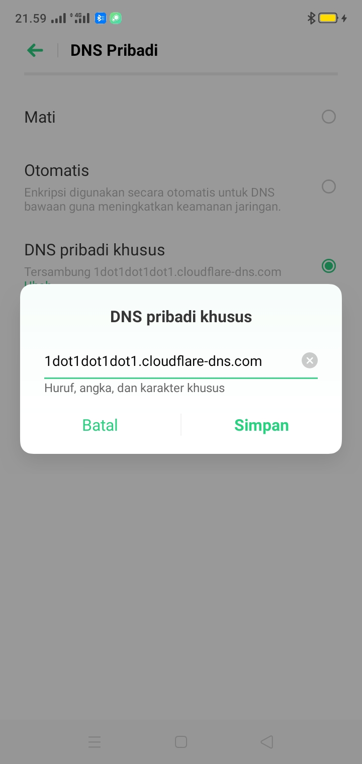 Hostname Dns Pribadi Android