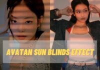 Avatan sun blinds effect
