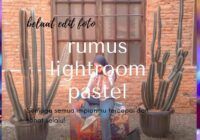 rumus lightroom pastel tone